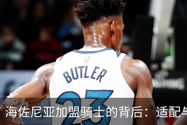 海佐尼亚加盟骑士的背后：适配与机会的选择